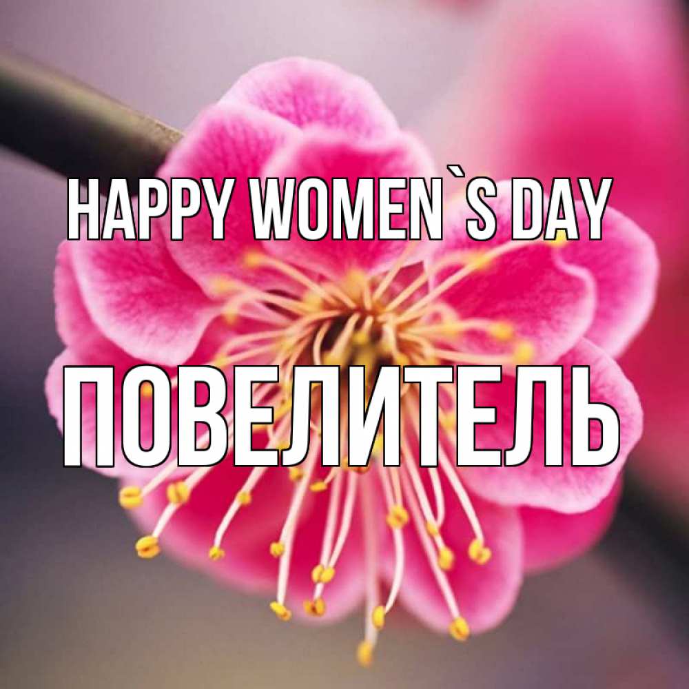 Greetings card с именем, Повелитель happy women`s day цветы Greetings with text for free download 